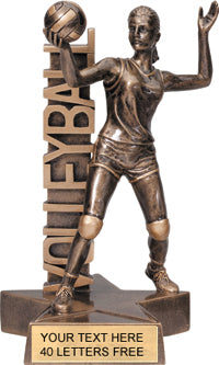 Volleyball Billboard Resin Trophies [Female]