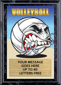 Volleyball Full Color KRUNCH Plaque [PKRNCH5-VB]