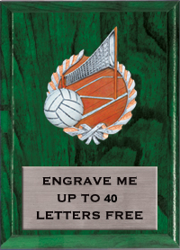 6"x8" Volleyball Millennium Plaque [PMC68-VB]