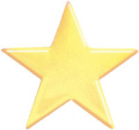 Gold Plated Pin- Star [PSTR-60]