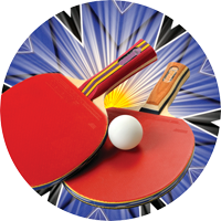 Table Tennis Insert [TD-2255]