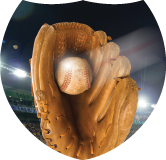 Baseball Glove Shield Insert [SH-2625]