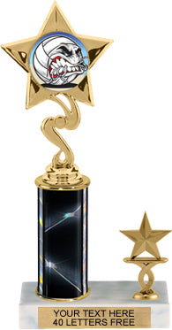 Star Color Insert Trophy with 1 Trim [T1T11i-J06]