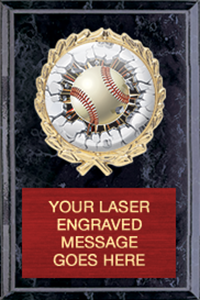 Insert Plaque - 4x6 inch [P330]