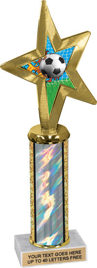 Exclusive Star Insert Column Trophy [TWS12]