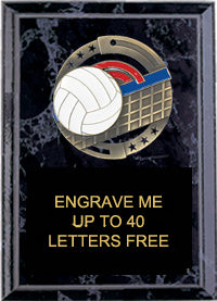 5"x7" Volleyball Dimensional Color Plaque [PEM5-VB]