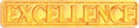 Gold Plated Pin- Excellence [PEXC-24]