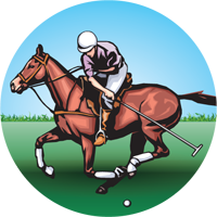 Polo Insert [TD-1021]