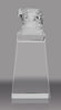 American Eagle Crystal Tower Award 8