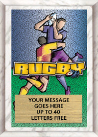 Full Color Plaques [PFCSTK5-RGBY]