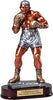 Metallic Tone Boxer Resin Trophy [RM24-518-BX]