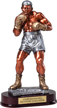 Metallic Tone Boxer Resin Trophy [RM24-518-BX]