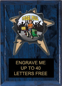 Resin Star Insert Plaque [PRBI57i]