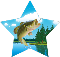 Fishing Star Insert [ST-4322]