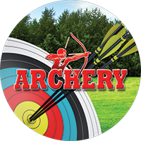 Archery - Target & Arrows Insert [TD-3630]