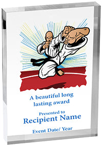 Martial Arts Vibrix Acrylic Award [A46BV-MA]