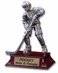 Hockey Signature Series Resin Trophy - Male [SSR6-HKM]