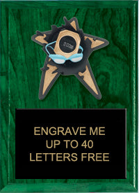 Swimming Spring Loaded Plaque [PRBI79-SW]