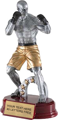 Mixed Martial Arts Silver Resin on Piano Finish Base 8" [SCRF-MMA]