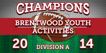 Football 4 x 8 Vinyl Banner- Field [VB-FB-FLD-48]