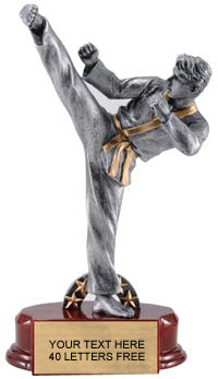 Martial Arts Pewter & Gold Resin Sculptures on Piano Finish Base- Male