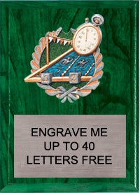 7"x9" Swimming Millennium Plaque [PMC79-SW]