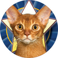 Cats- Ruddy Abyssinan Insert [TD-2450]