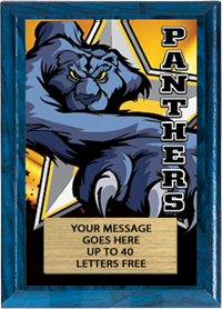 Full Color Plaques [PFCSTK5-MSCT]