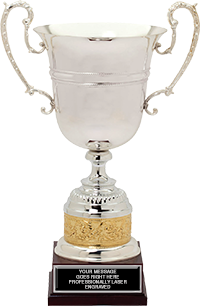 Silver Plated Cups with Gold Flourished Bands