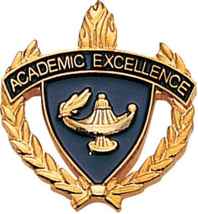 Academic Excellence 3D Enameled Scholastic Pin [PCM-WRT-ACEX]