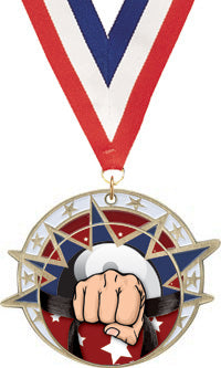 Martial Arts USA Insert Medals [M2USA-MAi-2440]