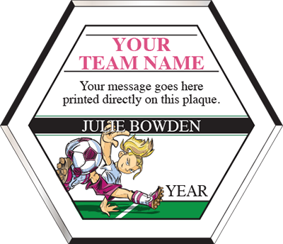 Color Hexagon Soccer Plaque [PHXSC8]