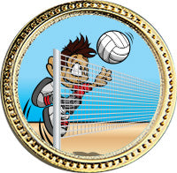Volleyball Round Insert Pin [P78RI-VB3]