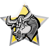 Mascots- Bulls Star Insert [ST-2461]