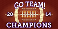 Football 3 x 6 Vinyl Banner- Ball [VB-FB-BAL-36]