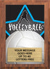 Volleyball Male Full Color Star Plaque [PEDG5-VBM]