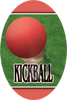 Kickball- Aerial Oval Insert [OV-2022]