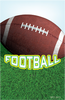 Football Plaque Insert [BBP-2498]