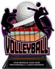 Volleyball Colorix-T Acrylic Trophy [TACR6-VB-Q]