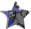 Mascots- Panthers Star Insert [ST-2471]