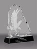 Flying Eagle in Iceberg Crystal Relief Award [CF17-3-7-EG-X]