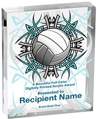 Volleyball Vibrix Acrylic Awards [1 inch thick]