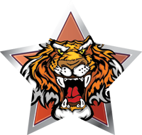 Mascots- Lions Star Insert [ST-2476]