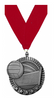 Volleyball 5 Star Medal- Silver [MP36-VB-S]