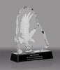 Flying Eagle in Iceberg Crystal Relief Award [CF17-3-7-EG-X]