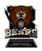 Bears Mascot Colorix-T Acrylic Trophy- 8.25 inch [TACR8-MSCT-BEAR-Q]