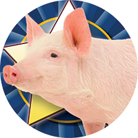 Pig Insert [TD-3633]