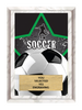 Soccer Full Color Star Plaque [PEDG5-SC]