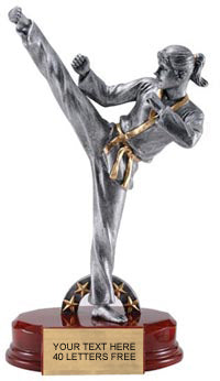 Martial Arts Pewter & Gold Resin Sculptures on Piano Finish Base- Female