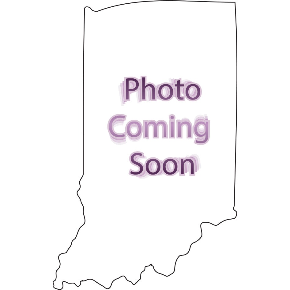 Indiana Full Color Paperweight Acrylic Award - 5 x 3.125 [ASTT-IN-FC-Q]